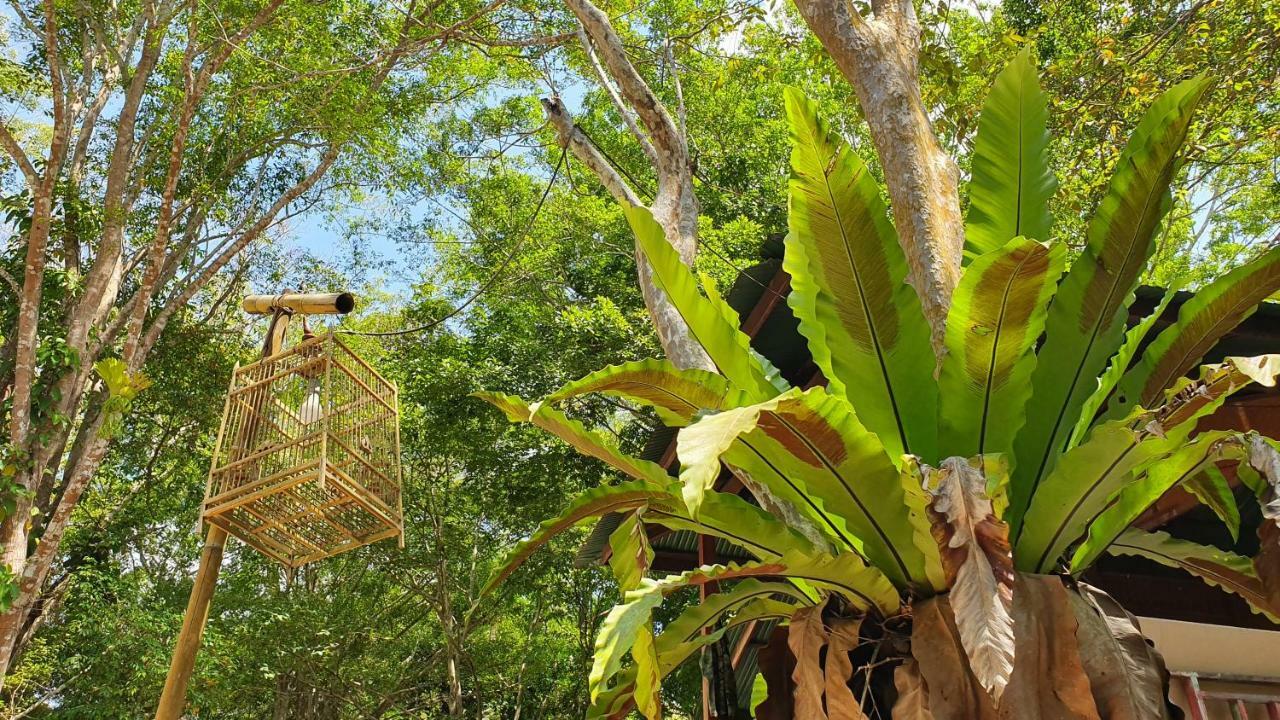 Hotel Hug Rimtharn Ban Khao Klom Exteriér fotografie
